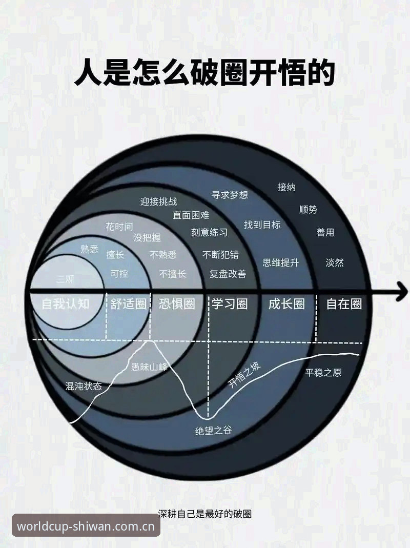 7个关键维度评测：世网投注平台手机版的技术架构与实战体验